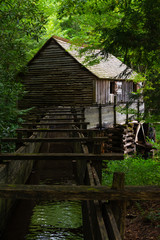 Old mill in the woods