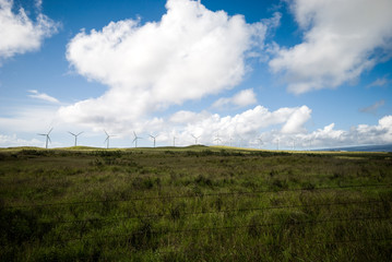 Fototapeta premium Turbines in field