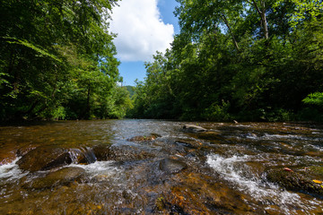 Abrams Creek