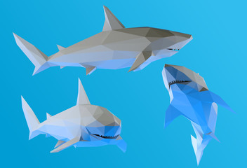 Plaster Shark. Set of White Great White Sharks on Blue Background. Low Poly Vector 3D Rendering