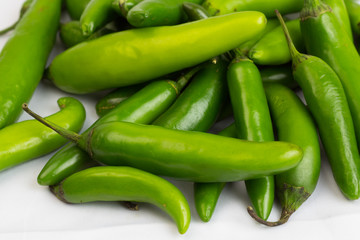 Chile serrano fondo blanco