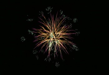 Fototapeta premium 《大曲の花火》秋田県大仙市