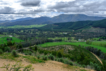 Fototapeta na wymiar view of Bright Valley landscape