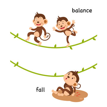 Opposite fall and balance vector illustration