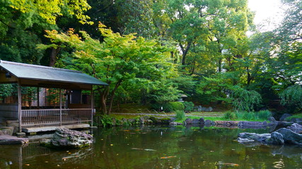 Fototapeta na wymiar Yasukuni Jinja inner garden. Pond in the Japanese garden