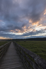 wooden boardwalk streching far across a lush green wetlands below a bright cloudy sunset