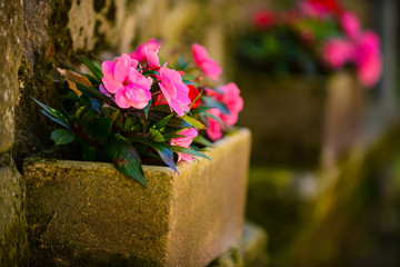 Street sketches of the picturesque Breton town of Dinan. Brittany. France