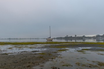 sailboat in the harbor 