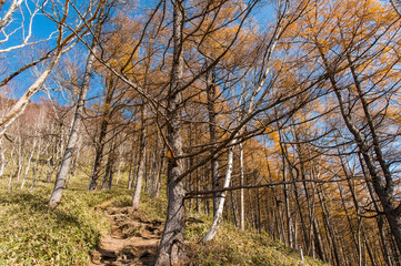Obraz premium Hiking in the beautiful Mount Nantai and Lake Chuzenji in autumn season, Nikko, Japan