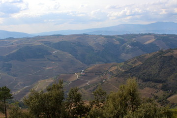 Fototapeta na wymiar Douro Valley in Portugal