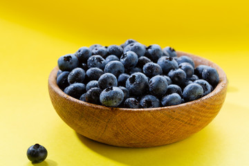Fresh blueberry harvest in bowl