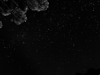 a photograph of the dark night sky full of stars