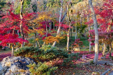 《旧池田氏庭園 払田分家》秋田県大仙市