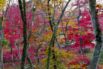 《旧池田氏庭園 払田分家》秋田県大仙市