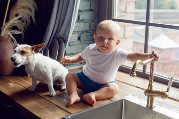 child in a white t-shirt sitting in the kitchen with a dog at the sink