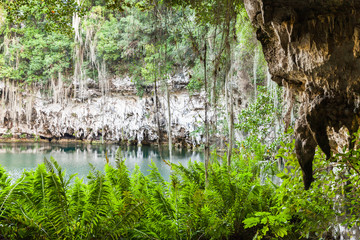 Open-air limestone cave Los Tres Ojos