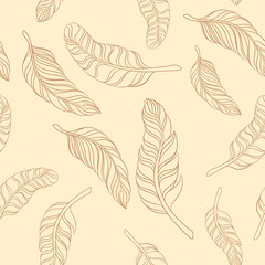 seamless pattern feathers