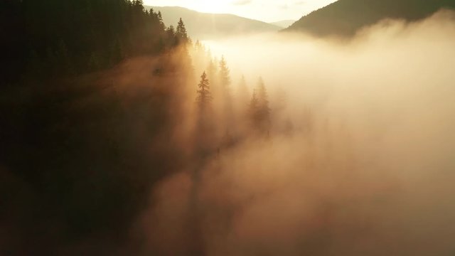 Misty dawn in the mountains. Beautiful landscape