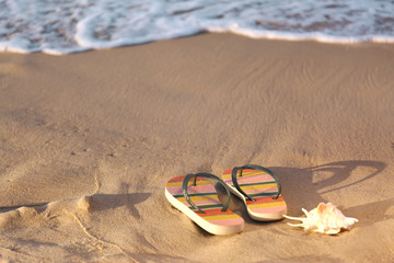 Fototapeta na wymiar Stylish flip flops and shell on sand near sea, space for text. Beach accessories