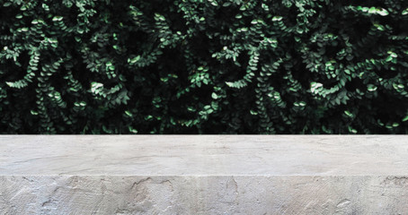 concrete texture table and green leaf wall product display background.3d perspective studio photography stand.banner mokc up space for showcase product.empty countertop.ecology friendly concept