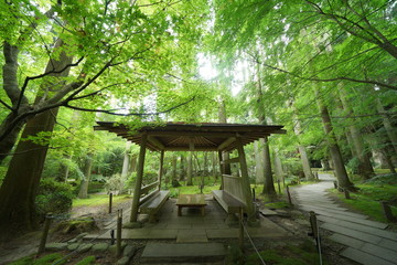 Naklejka premium 円通院のお庭