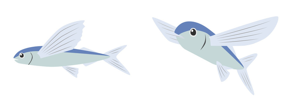 4 268 件の最適な トビウオ 画像 ストック写真 ベクター Adobe Stock