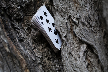 Pack of plaing cards.