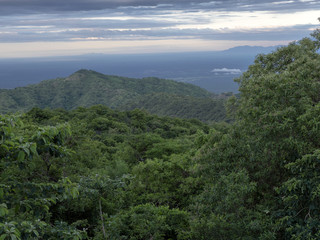 Wooded landscape in Mago National Park of Southern Ethiopia