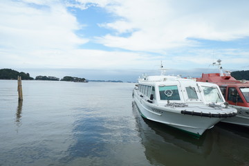 Fototapeta premium 松島の海