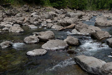 stream in forest