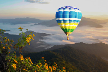 Beautiful colored balloon in the morning mist
