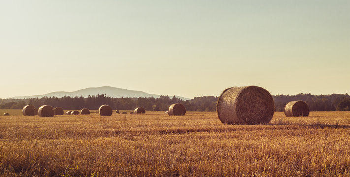 Straw bales on a stubble field, hills and a forest in the background, sunset, clear sky, landscape in golden sunlight