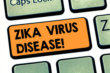 Writing note showing Zika Virus Disease. Business photo showcasing transmitted primarily Aedes...