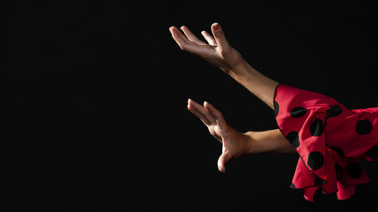 Flamenca hands moving with copy space - obrazy, fototapety, plakaty