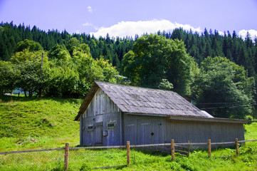 Old wooden house on the outskirts of the forest. Green grass and trees