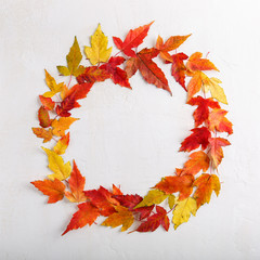 Naklejka na ściany i meble Colorful fall leaves on white background. Autumn frame. Flat lay, top view, copy space.