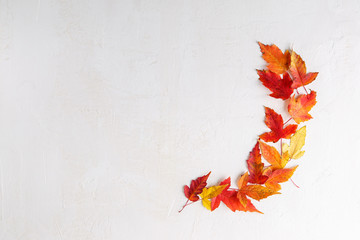 Colorful fall leaves on white background. Autumn frame. Flat lay, top view, copy space.