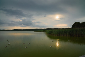Der Schmachtersee auf Rügen