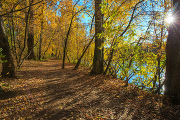 Beautiful autumn forest.  Path along the river in park. Sunny autumn day.