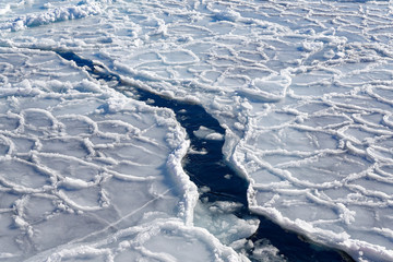 流氷 © kimiharu Satou