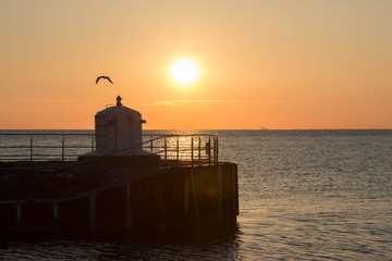 Hafeneinfahrt mit Möve bei Sonnenuntergang / Ostsee