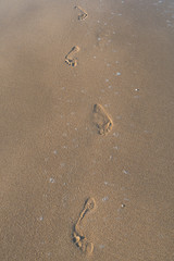 human footprints in the fine sand at the beach