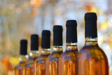 Bottles of Wine. Cabernet Franc Rose bottles of wine in rows in the hungarian wine cellar, vineyard.