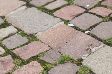 Closeup  of geometric cobbles in the street