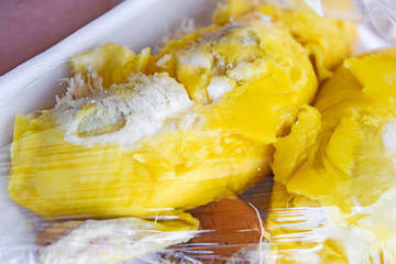 Tropical fruit of fresh durian on tray background.