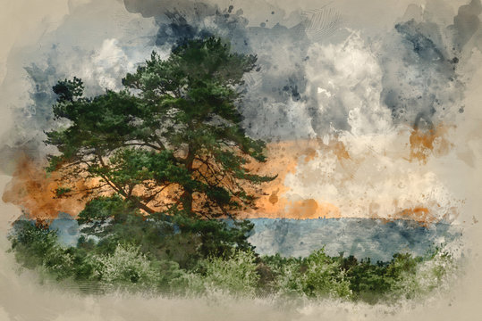 Digital watercolour painting of Beautiful Summer sunset landscape image of single tree in forest with colorful cloud formations