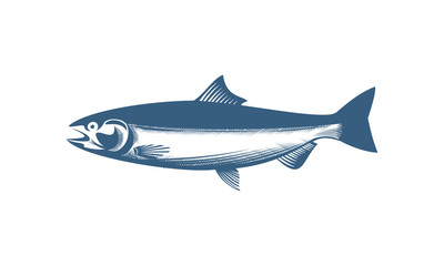 Salmon Fish Graphic Illustration