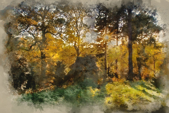 Digital watercolour painting of Stunning vibrant Autumn landscape of sunburst through trees in forest