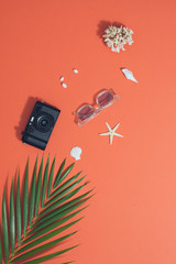 Fototapeta na wymiar Summer vibes. Camera, sunglasses witt tropical palm leaf, seashells and starfish. Flat lay, top view