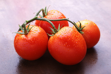 Tomato branch with Very fresh and delicious red tomatoes